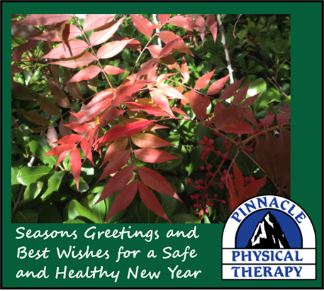 Seasons greetings and best wishes for a safe and healthy New Year